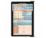 WhiteCoat Clipboard® - Army Green Podiatry Edition